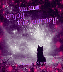 a picture of a cat with the words veel geluk enjoy the journey written on it