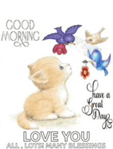 a good morning card with a cat looking up at birds