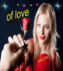 a picture of a woman holding a red rose with the words of love behind her