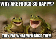 two frogs are sitting on the ground with their mouths open .