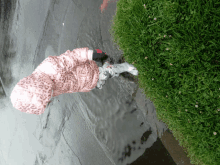 a person in a pink leopard print jacket is playing in a puddle of water