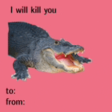 a picture of an alligator on a pink background with the words " i will kill you to from "