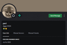 a screenshot of peri 's discord profile with a green send message button at the top