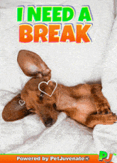 a picture of a dog laying on a bed with the words " i need a break "