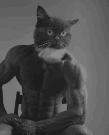 a black and white photo of a cat with a man 's body