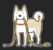 a dog with a yellow leash in its mouth .