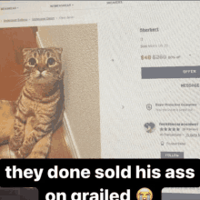 a cat is sitting on a ledge next to a computer screen that says they done sold his ass on grailed