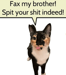 a cat with a speech bubble that says fax my brother