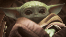 a close up of a baby yoda looking at the camera