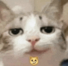 a close up of a cat 's face with a smiley face on its face .