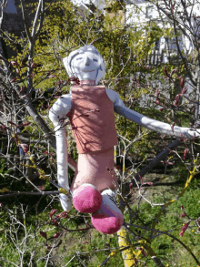 a scarecrow in a tree with pink socks on its legs