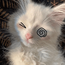 a white cat with a spiral drawn on its eye is sleeping on a couch .