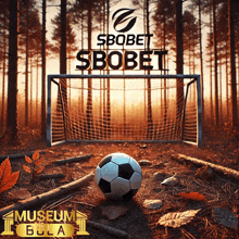 a soccer ball is in front of a soccer goal with the words sbobet sbobet written above it