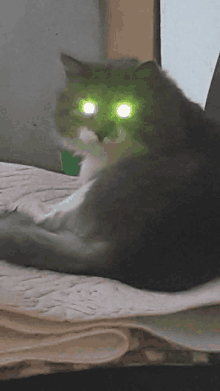 a gray cat with green eyes is laying on a bed