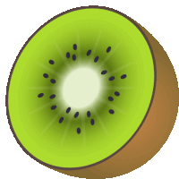 a slice of kiwi with a white center