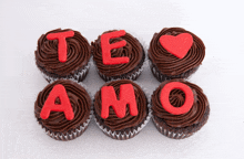 cupcakes with chocolate frosting and red letters saying te amo