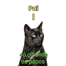 a black cat is holding a pair of scissors and says pai so olhando os papo