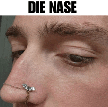 a close up of a person 's nose with the words die nase above