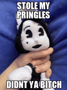 a person is holding a stuffed animal with the words `` stole my pringles didn t ya bitch '' written on it .