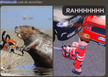 a picture of a beaver with a chainsaw next to a picture of a man using a chainsaw