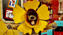 a stuffed animal is wearing a yellow flower headpiece