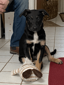 a black and brown puppy is sitting on a tiled floor next to a stuffed animal