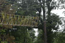 a rope bridge in the middle of a forest surrounded by trees