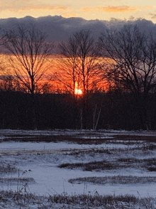 the sun is setting over a snowy field with trees in the foreground