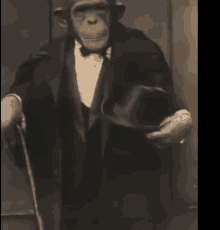 a chimpanzee in a tuxedo holding a cane and a hat