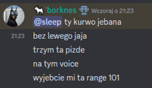 a screenshot of a conversation between borknes and sleep at 21:23