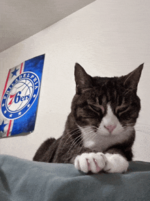 a cat laying on a bed in front of a philadelphia 76ers sign