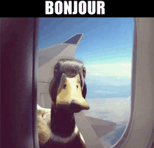 a picture of a duck looking out of an airplane window with the words bonjour below it