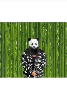 a panda bear wearing a supreme jacket standing in front of a bamboo wall