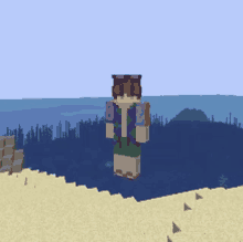 a minecraft character is standing on a beach in front of the ocean .