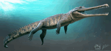 a crocodile is swimming in the water with a watermark that says ' a.c. williams ' on it