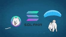 a dog is flying through the air with a parachute next to a logo for solana .