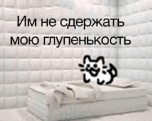 a picture of a bed with a cat on it in a room with a foreign language on it .