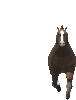 a brown horse with a white spot on its head is running on a white background