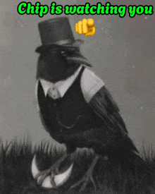 a crow wearing a top hat and vest is pointing at the camera with the caption chip is watching you