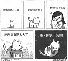 a cartoon of a woman holding a cat with chinese writing on it