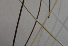 a bunch of sticks are lined up against a wall