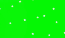 a green screen with white stars floating in the air .