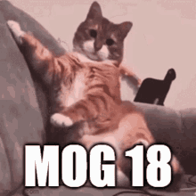 a cat is sitting on a couch with its arms outstretched and the words mog 18 written on it .