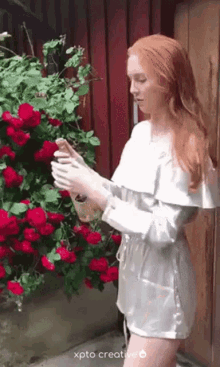 a woman in a white dress is standing in front of a bush of red roses looking at her phone