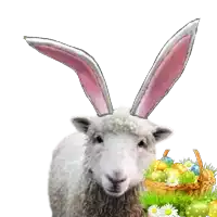 a sheep with bunny ears is holding an easter basket