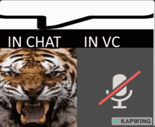 a picture of a tiger with the words " in chat in vc " above it