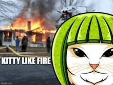 a picture of a cat with a watermelon head and the words " kitty like fire " below it