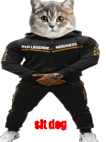 a cat wearing a hoodie that says hvh legends needness