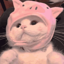 a white cat wearing a pink hat with a pig on it .