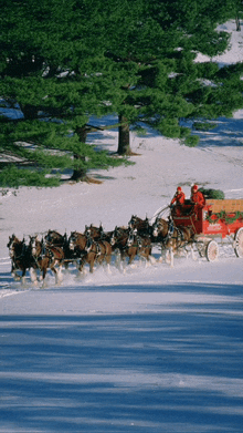 a horse drawn sleigh with a christmas tree on it